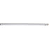 Pencil, unsharpened, white