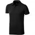 Markham Polo, Antricite, L