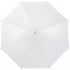 Umbrella, white