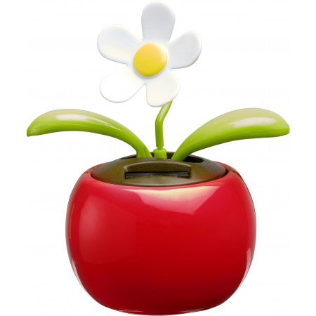 Solar flower., red