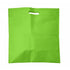 Nonwoven carry/document bag, lime