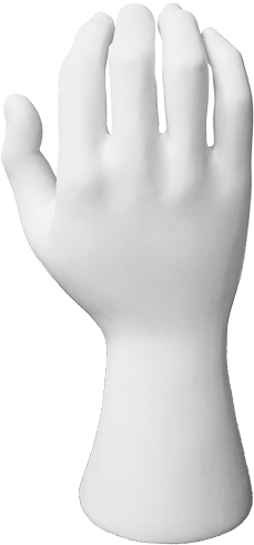 z464 Portwest Hand Mannequin - BRANIO