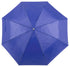 Ziant