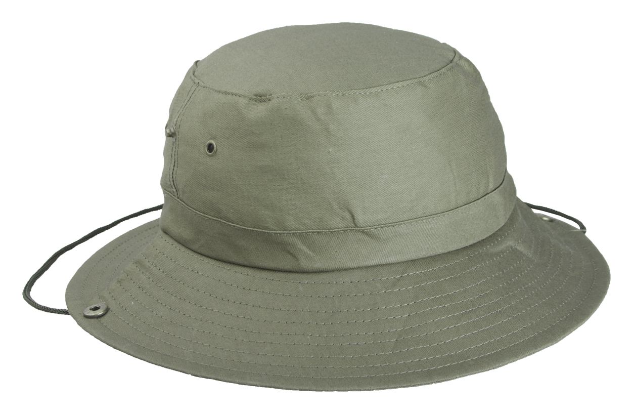 Safari