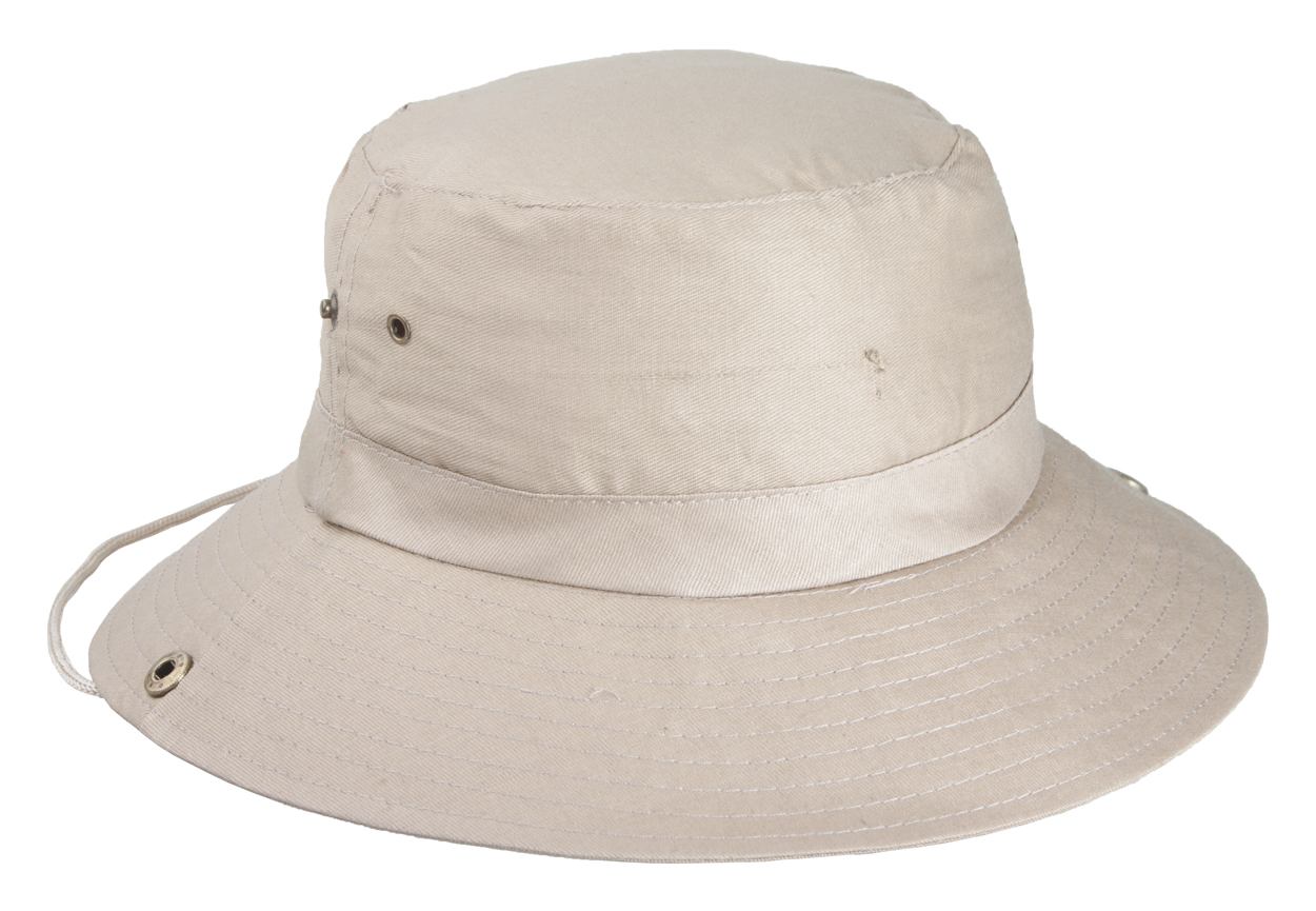 Safari