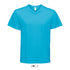 SOL’S VICTORY MEN'S V-NECK T-SHIRT